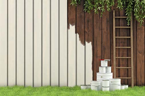 Fence Painting